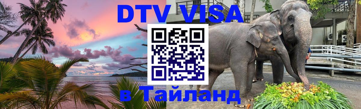 Купить DTV визу в Таиланд 
